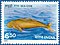 Stamp of India - 1991 - Colnect 164173 - Dugong Dugong dugon.jpeg