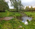 6386 2017-10-12 Stenmurslandskapet, blivande Väsmestorps naturreservat, Väsmestorp, Sörby sn, Västergötland.