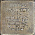 Siegfried Frankenberg