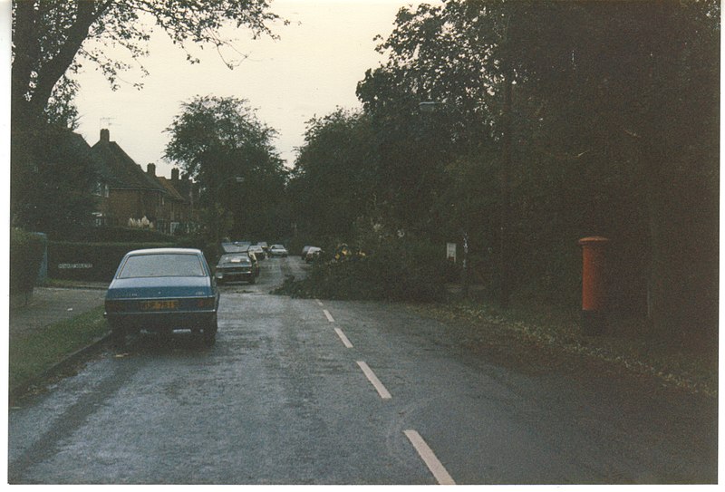 File:Storm damage on Brim Hill, Hampstead Garden Suburb - geograph.org.uk - 3185218.jpg