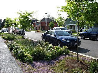 <span class="mw-page-title-main">Green infrastructure</span> Sustainable and resilient infrastructure