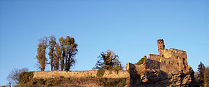 Hardenberg castle ruins