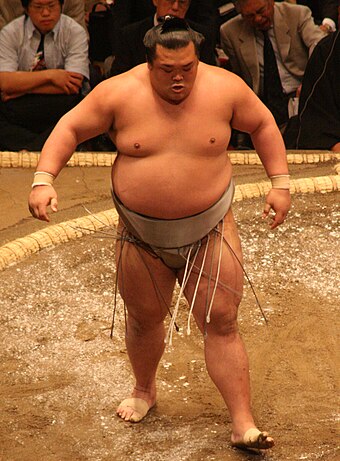 Суммо. Японские борцы сумо. Борьба сумо Япония боец.