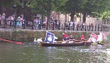 The skiffs surround the swans so that they can be more easily caught. Swan Upping.jpg