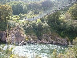 Swingbridge across the Buller River