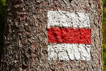 The trail markers used in Bulgaria consist of a colored bar between two white bars, painted on rocks and trees along the trail. Different colors stand for different trails.