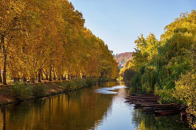 Осенний пейзаж реки Неккар в Тюбингене