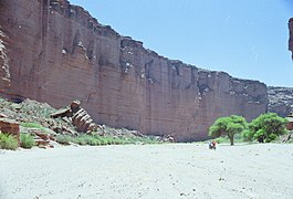 イスキグアラスト/タランパヤ自然公園群（2000年、自然遺産）
