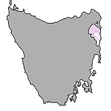 Tasmanipatus distribusi map.jpg