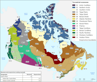 ELC Ecozones and ecoprovinces of Canada Terrestrial ecozones and ecoprovinces of Canada, 2017.gif