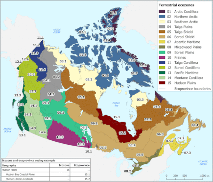 Terrestrial ecozones and ecoprovinces of Canada. Ecozone are identified with a unique colour. Ecoprovinces are subdivisions of ecozones and are identified with a unique numeric code Terrestrial ecozones and ecoprovinces of Canada, 2017.gif