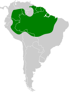 Thamnophilus amazonicus map.svg