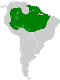 Distribución geográfica del batará amazónico.