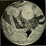 Percival Lowell's 1909 sketches of the "canals" of Mars The American Museum journal (c1900-(1918)) (17539936613).jpg