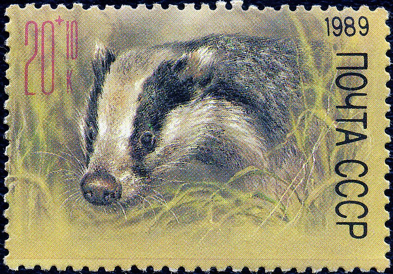 File:The Soviet Union 1989 CPA 6058 stamp (European badger) large resolution.jpg