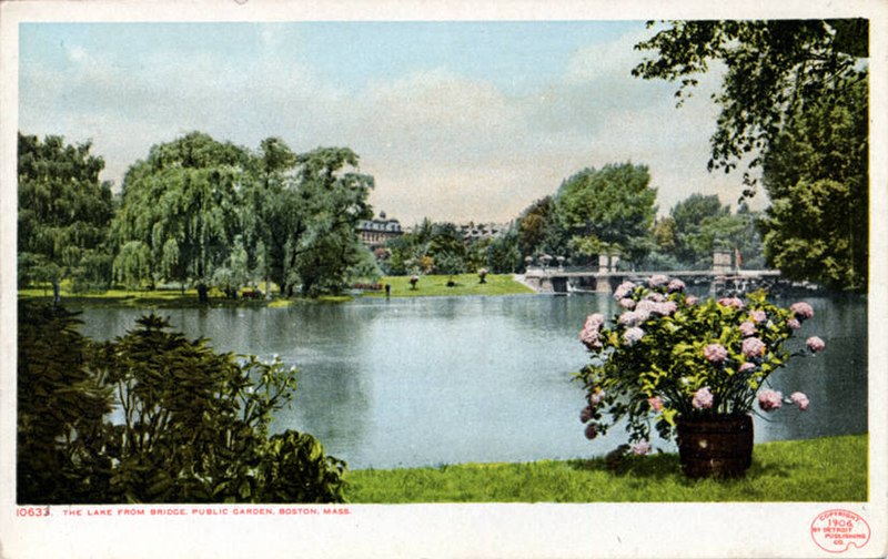 File:The lake from bridge, Public Garden (NBY 1885).jpg