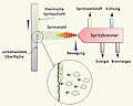 Vorschaubild für Thermisches Spritzen