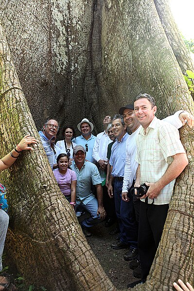 File:Tião Viana participa de soltura de quelônios no rio Abunã (5568223968).jpg