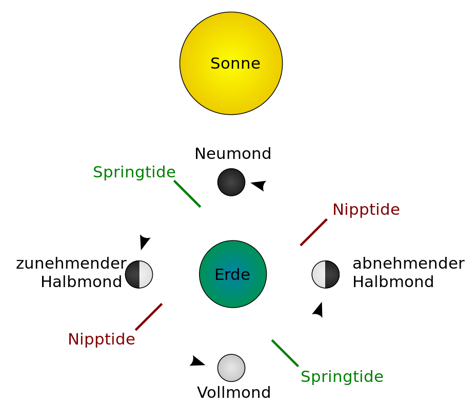 Spring Tide. Neap Tides это. Фазы Луны презентация. What is Spring Tide and neap Tide.