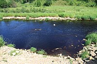 Tosna rivier op een heldere dag