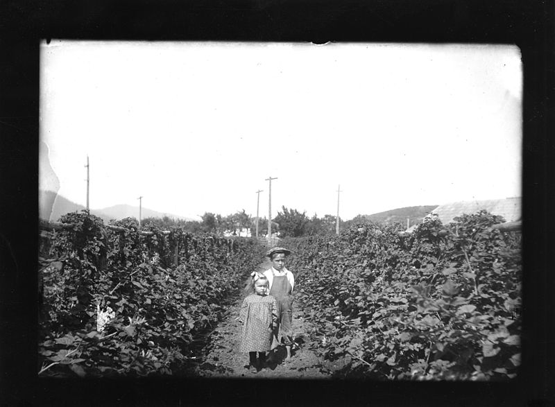 File:Two children in a blackberry field, 1900 (7951547686).jpg
