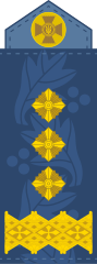 Генерал-лейтенант(Ukrainian Air Force)
