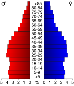 Illinois Hrabstwo Cook: Hrabstwo w stanie Illinois w USA