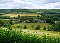 View of Shoreham from the hill to the west.