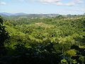 Vista del área de la Comunidad del Guácimo, Siuna, RAAN. - panoramio.jpg