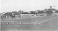 תחרות הרכיבה על סוסים באולימפיאדת הקיץ אמסטרדם, הילברסום, 1928
