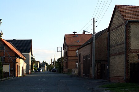 Wachholderbaum Straße