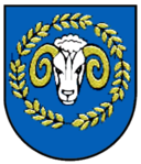 Zienken