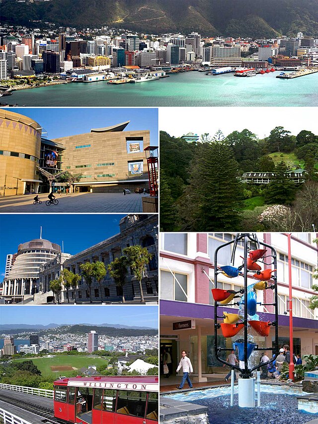 Anvistas de Wellington.