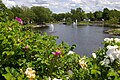 Wentworth Park Fountains & West Pond