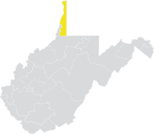 West Virginia Senate District 1 (2020).png