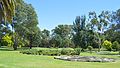 English: Bendigo Botanic Gardens at White Hills, Victoria