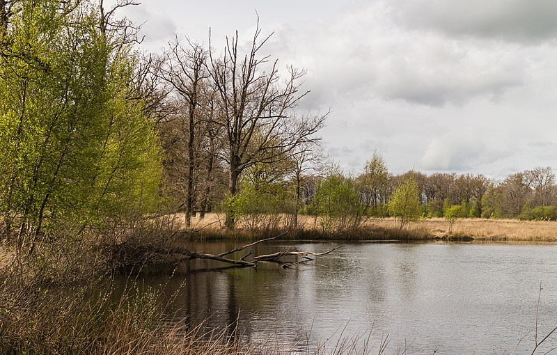 File:Wijnjeterper Schar, Natura 2000-gebied provincie Friesland 022.jpg