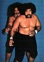 Thumbnail for Wild Samoans