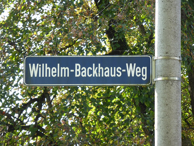 File:Wilhelm-Backhaus-Weg, Salzburg (1).jpg