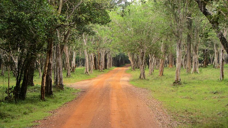 File:WilpattuNationalPark-April2014 (3).JPG