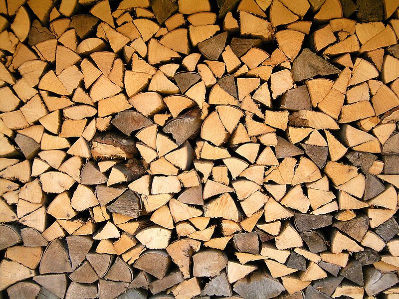 File:Wood 04 ies.jpg