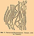 2008年11月11日 (二) 18:33版本的缩略图