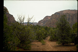 Zion National Park ZION9555.jpg