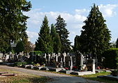 Čeština: Náhrobky na hřbitově sv. Otýlie v Českých Budějovicích. English: Gravestones in the municipal cemetery in Pražská Street, České Budějovice, South Bohemian Region, Czech Republic