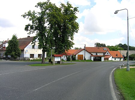 Štipoklasy, common