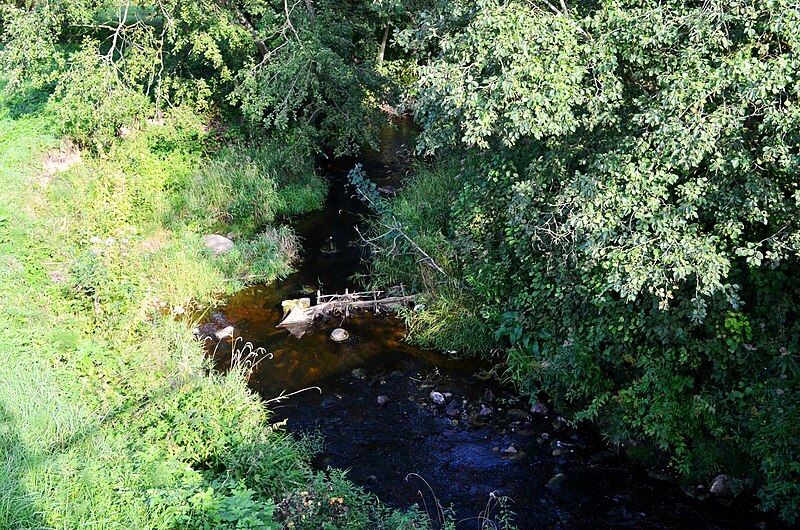 File:Žadikė Pašušvyje.JPG