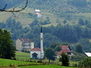 Župa (Tutin)