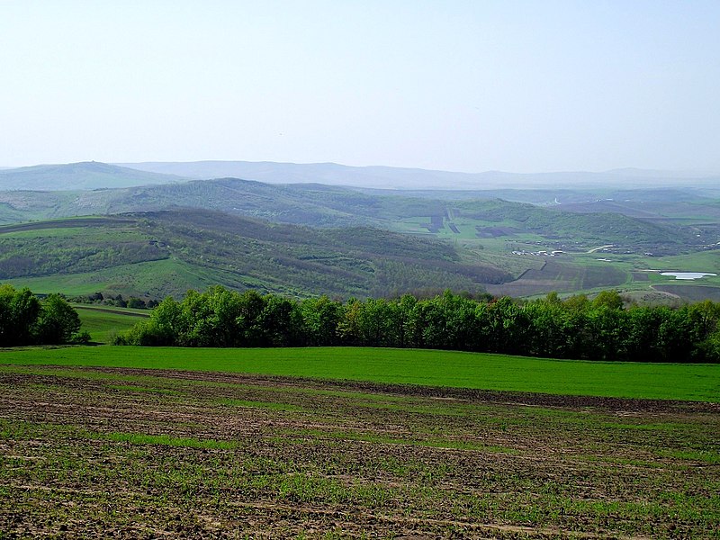 File:Баланештский холм очень издалека, километров с 30 (вершина у него почти плоская, но 429 м - рекорд в Молдове^) - panoramio.jpg