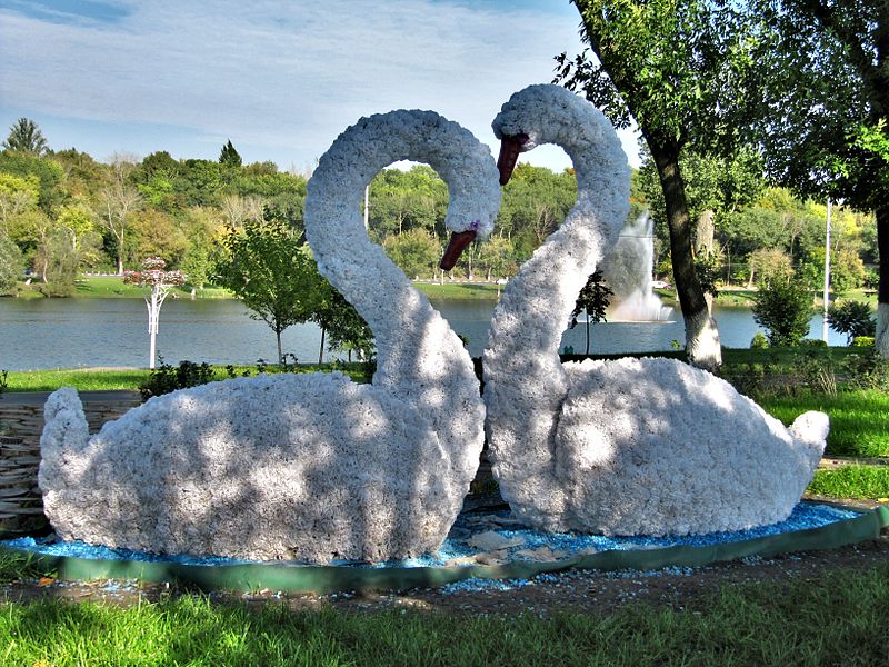 File:Губкин Два лебедя.jpg