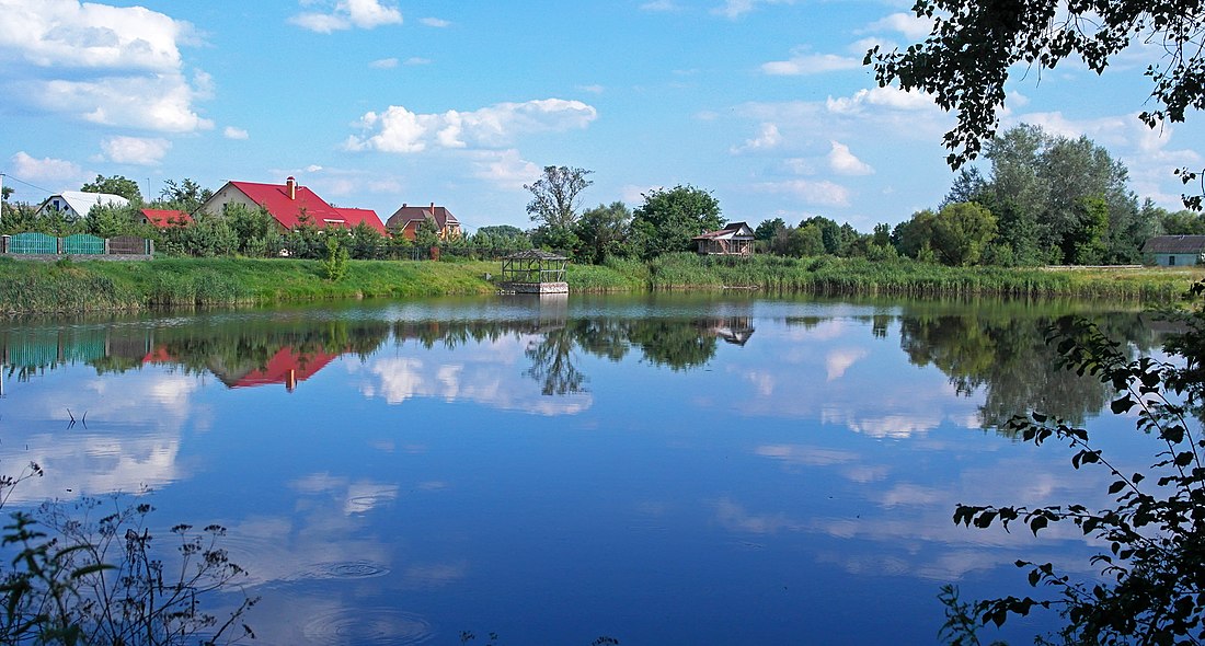 Motyżyn